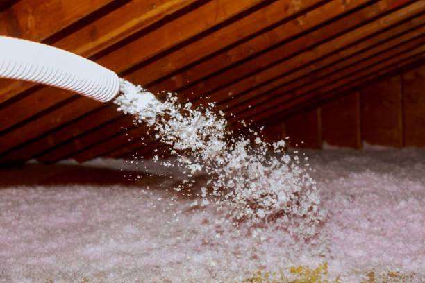 Best Attic Insulation Installation  in Williamsport, OH