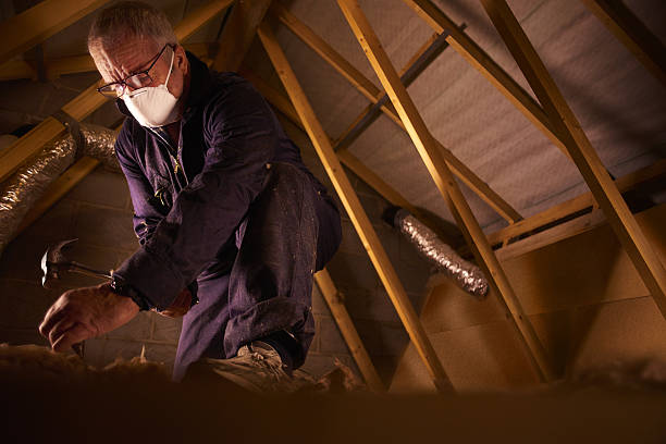 Best Fiberglass Insulation  in Williamsport, OH
